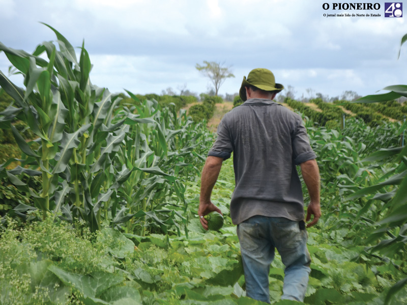 Produtores rurais aumentam sua participação na economia e ajudam a cobrir a demanda crescente por alimentos nos mercados locais e regionais