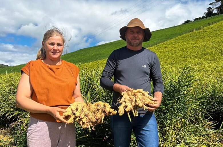 Foto: Henrique Fajoli - Seag